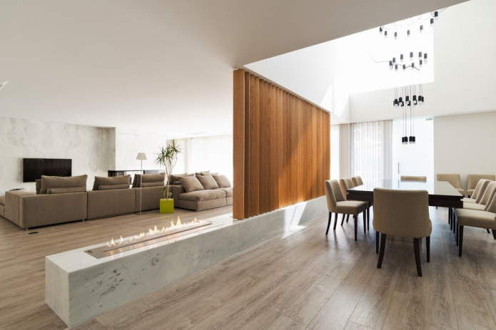 fireplace between living room and dining room