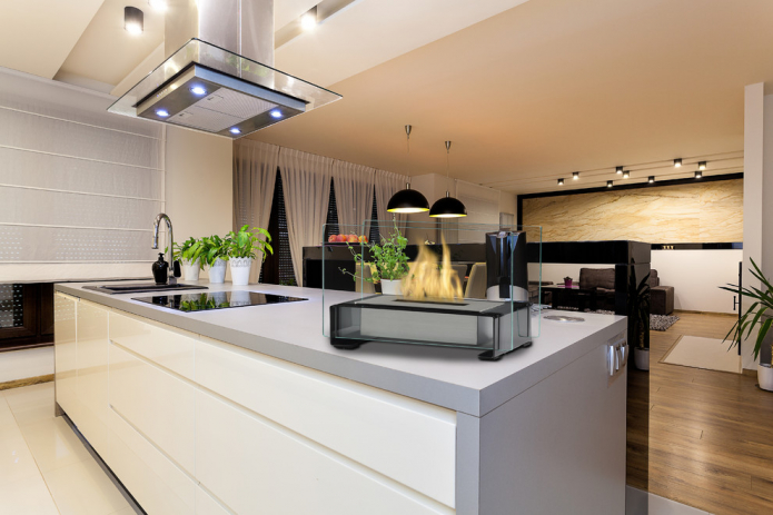 Glass design biofireplace