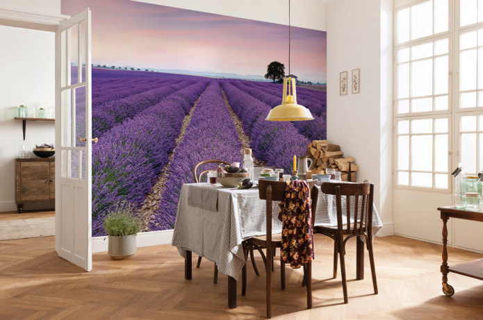 photomurals depicting lavender fields photomurals depicting lavender fields