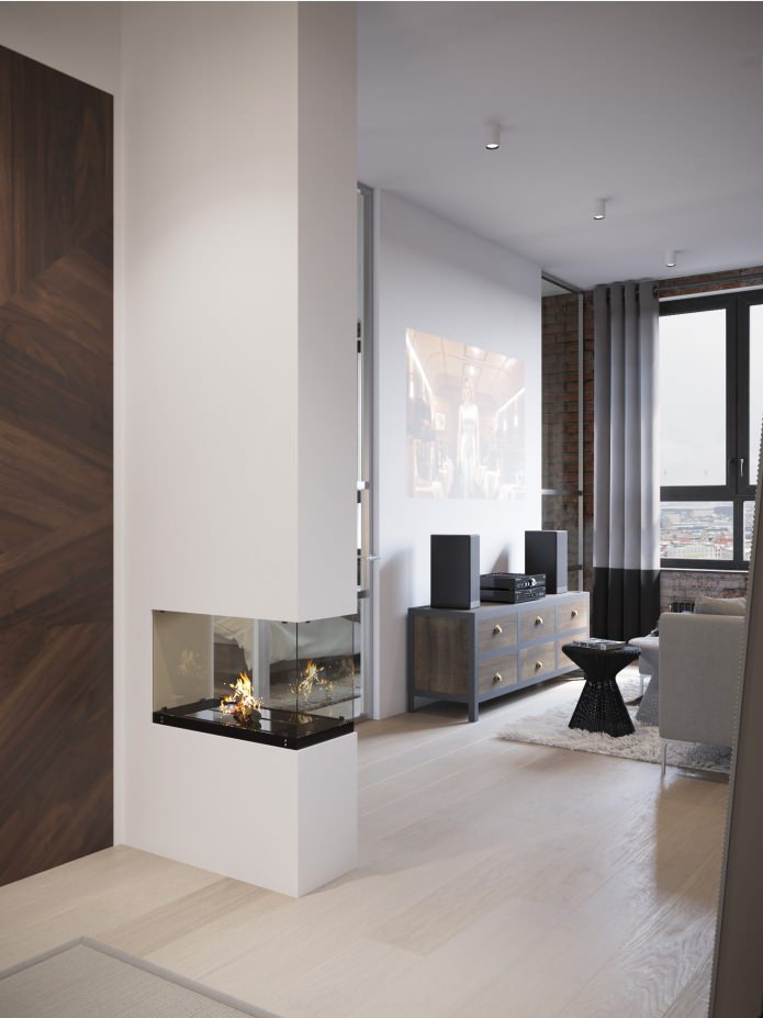 design of an entrance hall combined with a living room with a fireplace design of an entrance hall combined with a living room with a fireplace