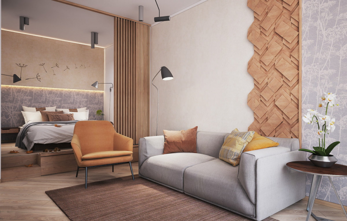 bedroom-living room bedroom-living room