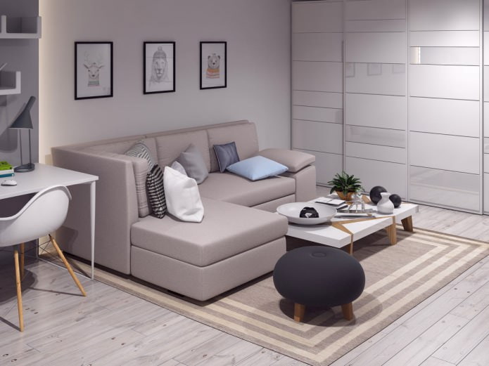 One-room studio apartment project