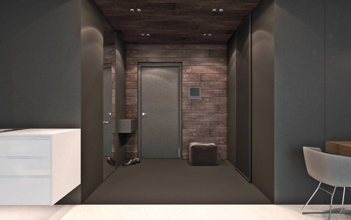 entrance hall in the studio 50 sq. m.