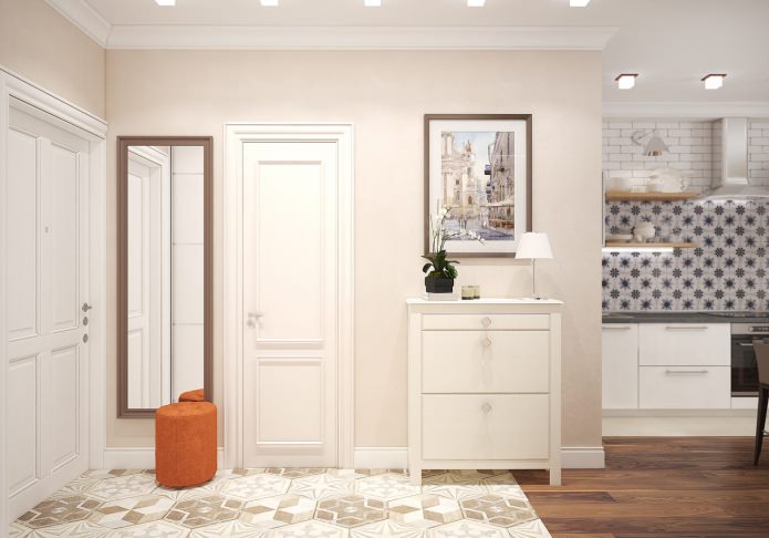 entrance hall in an apartment of 46 sq. m.