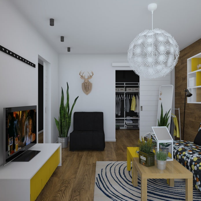design of a one-room apartment