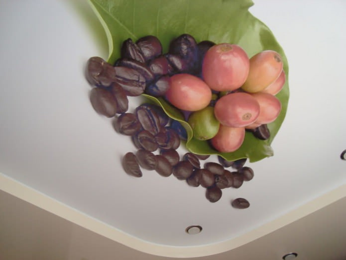 Stretch ceiling in the kitchen with photo printing