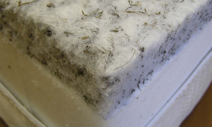 Struttofiber filler for orthopedic mattress