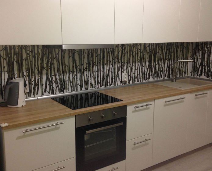 plastic kitchen apron with photo printing