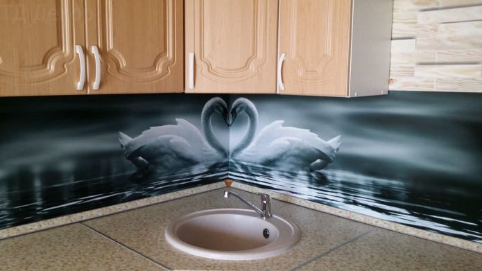 Kitchen apron made of plastic with photo printing