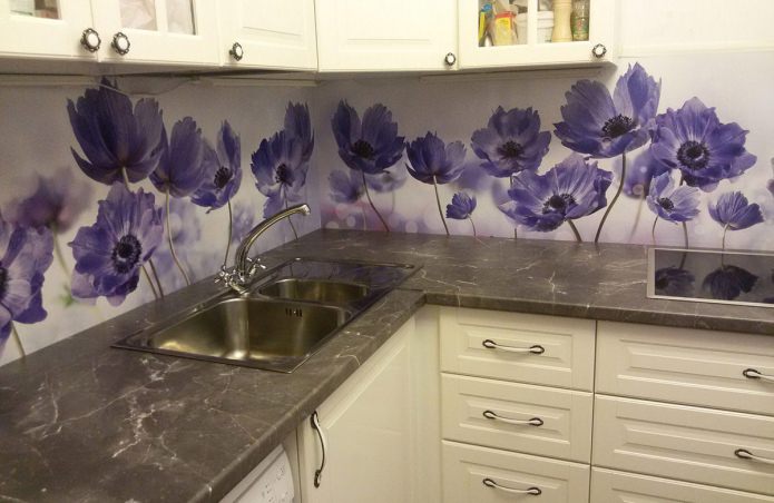 Kitchen apron made of plastic with photo printing