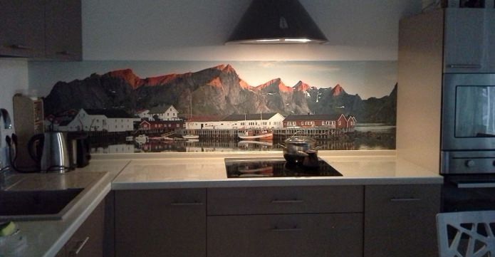 Kitchen apron made of plastic with photo printing