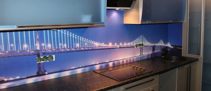 Kitchen apron made of plastic with photo printing