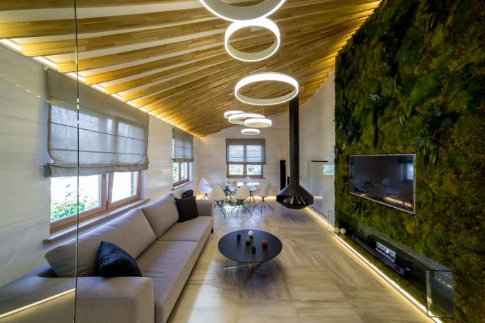 eco living room interior