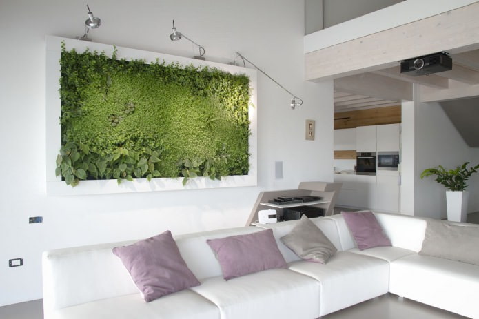 Eco-style living room interior