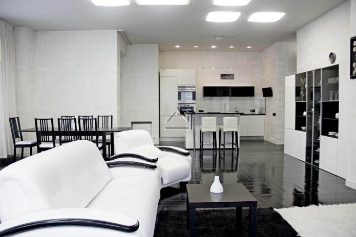 Black and white kitchen-living room interior