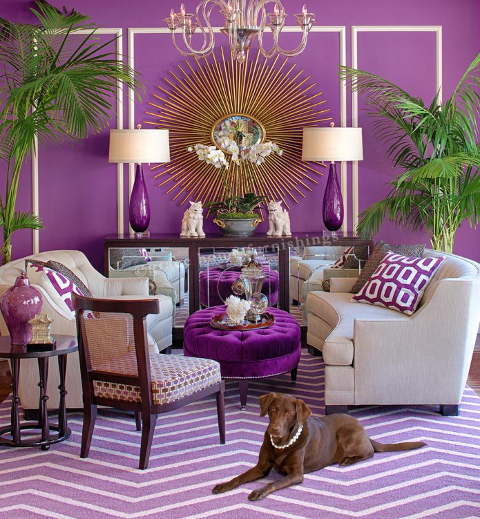 purple in the interior of the living room purple in the interior of the living room