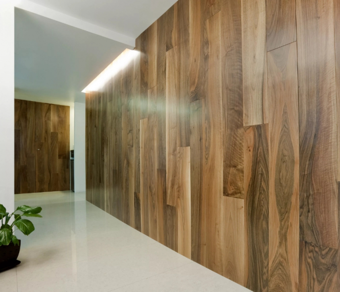 laminate on the wall in the hallway