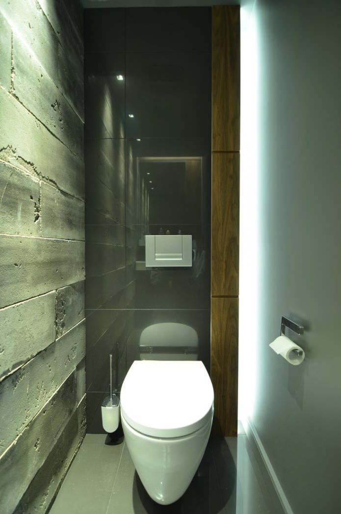 loft style toilet
