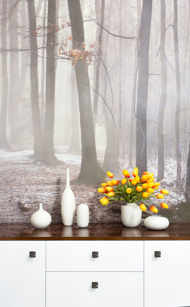 wallpaper with the image of the forest