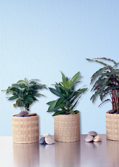 glass wallpaper herringbone