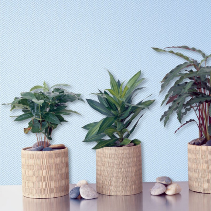 herringbone wallpaper herringbone wallpaper