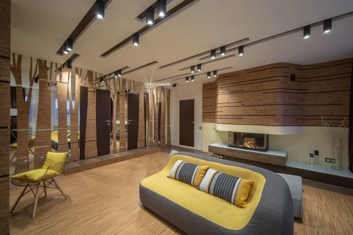 interior doors finished with cork