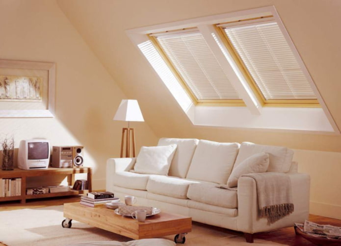 plastic blinds on roof windows