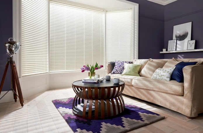 horizontal blinds in the living room