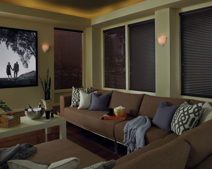 horizontal slats in black in the living room