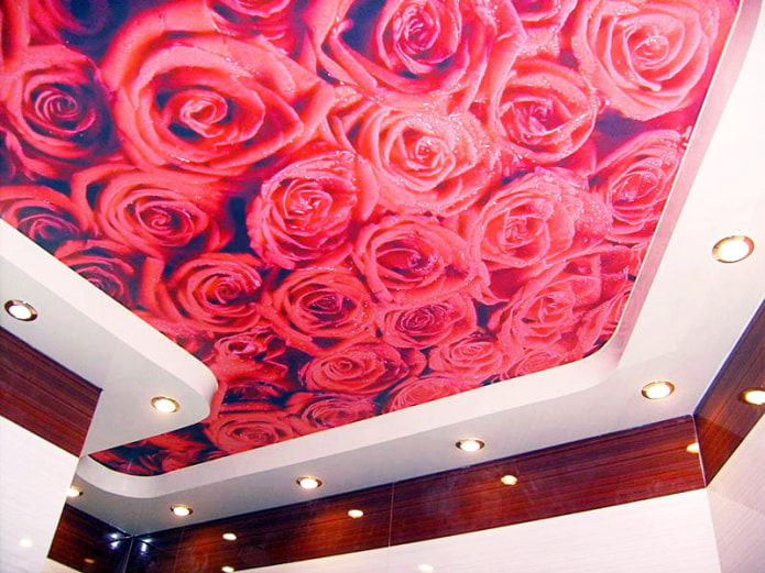 photo printing of a red rose on the ceiling photo printing of a red rose on the ceiling