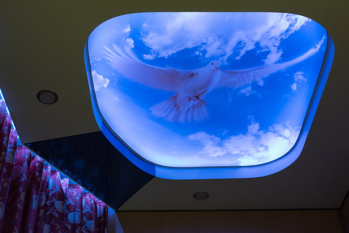 ceiling with photo printing
