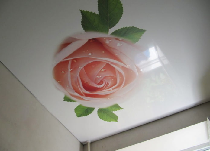 stretch fabric with photo printing in the form of a rose stretch fabric with photo printing in the form of a rose