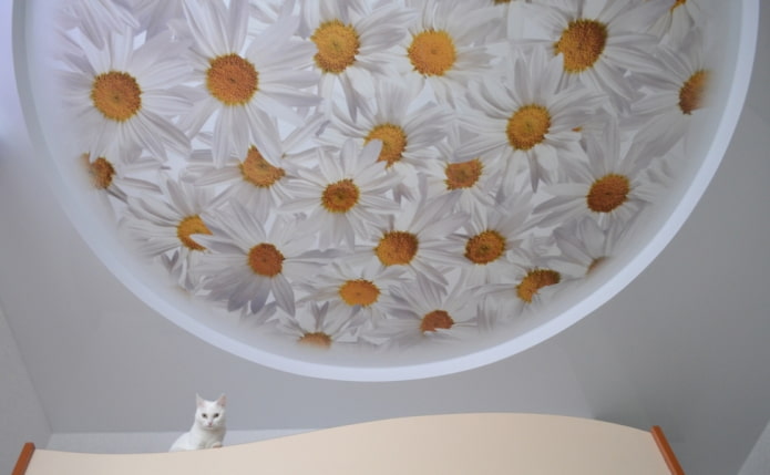 stretch canvas with photo printing in the form of daisies stretch canvas with photo printing in the form of daisies