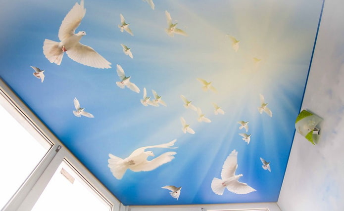 stretch canvas with the image of birds stretch canvas with the image of birds