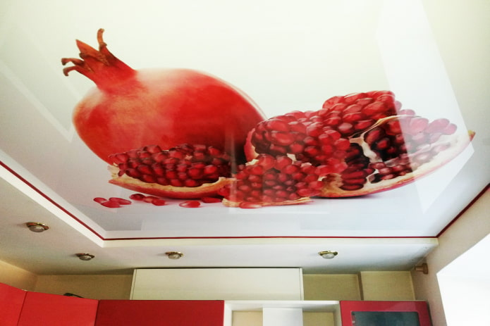 ceiling with a picture of a pomegranate in the kitchen ceiling with a picture of a pomegranate in the kitchen