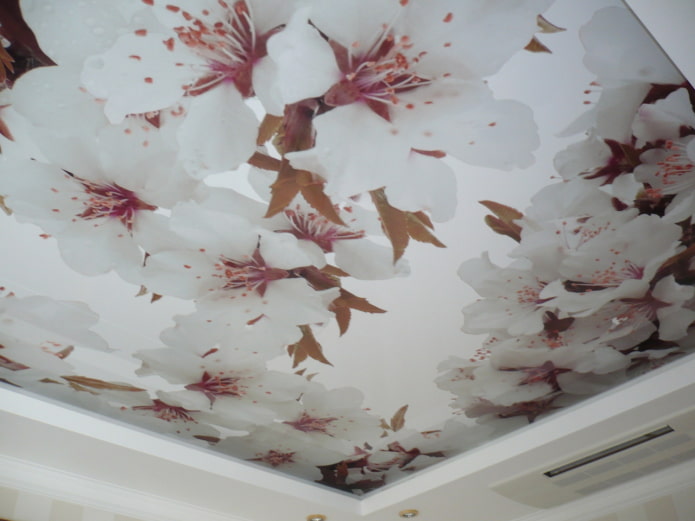 stretch canvas with apple flowers stretch canvas with apple flowers