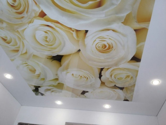 stretch fabric with photo printing in the form of a rose stretch fabric with photo printing in the form of a rose