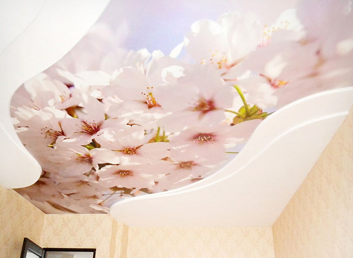 stretch canvas with apple flowers stretch canvas with apple flowers