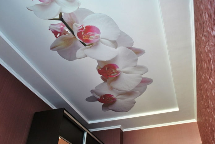 white stretch fabric with photo printing white stretch fabric with photo printing