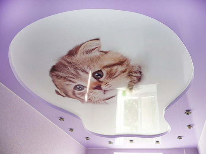 two-level tension structure with photo printing two-level tension structure with photo printing