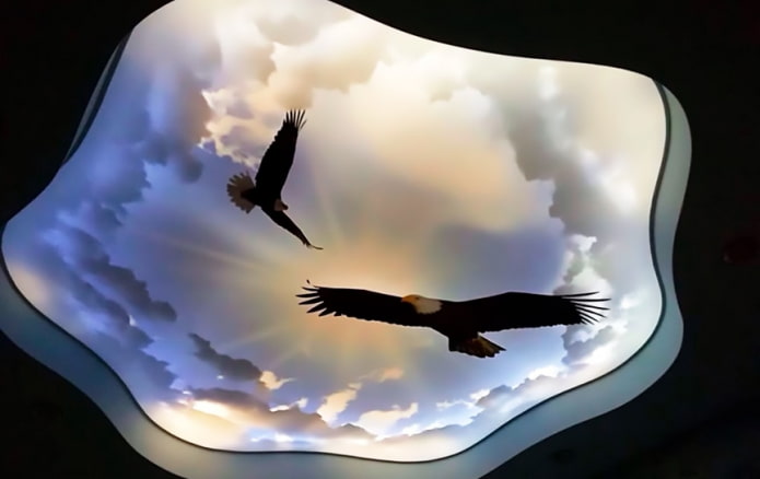 Zd print on the ceiling Zd print on the ceiling