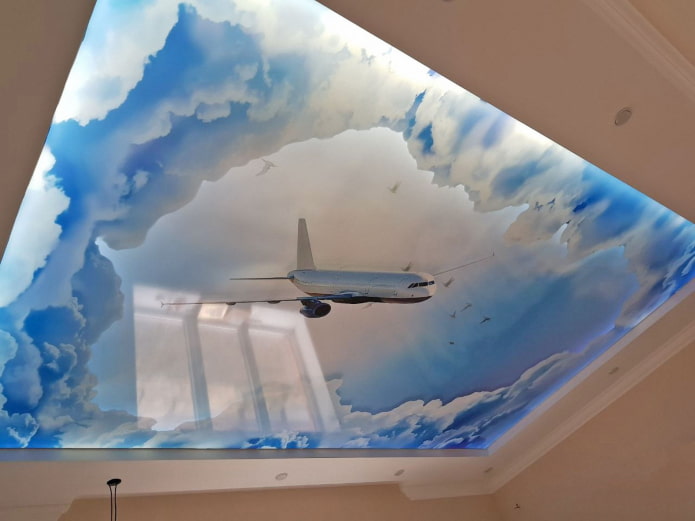 ceiling with sky and plane ceiling with sky and plane