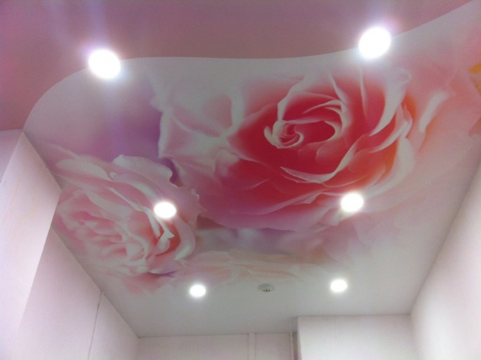 pink ceiling design with photo print pink ceiling design with photo print
