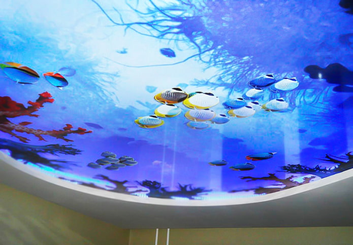ceiling with 3D photo printing imitating an aquarium ceiling with 3D photo printing imitating an aquarium