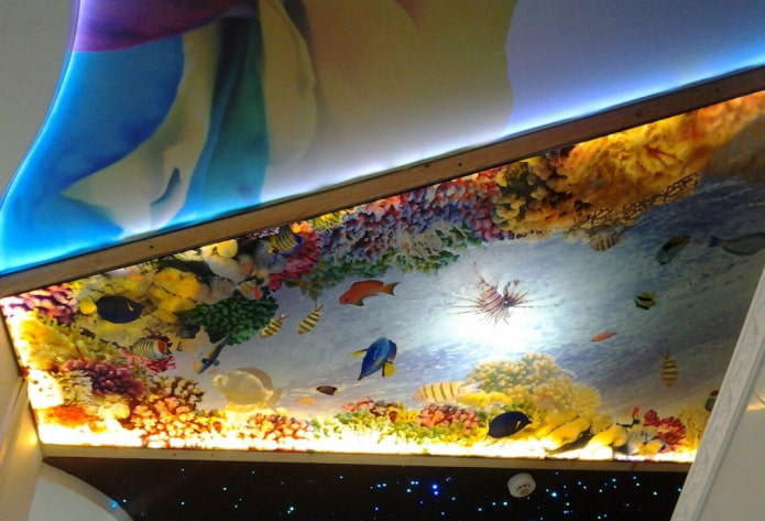 ceiling with 3D photo printing imitating an aquarium ceiling with 3D photo printing imitating an aquarium