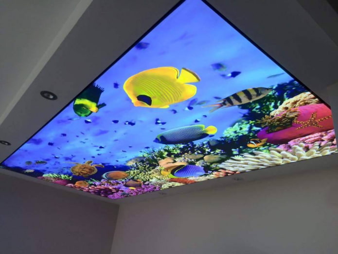 ceiling with 3D photo printing imitating an aquarium ceiling with 3D photo printing imitating an aquarium