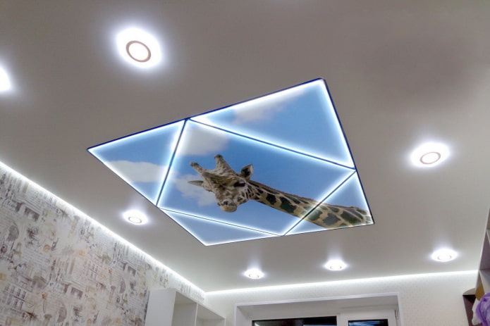 ceiling with a picture of a giraffe ceiling with a picture of a giraffe