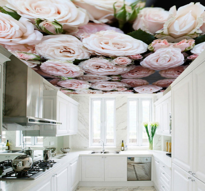 ceiling with a picture of flowers in the kitchen ceiling with a picture of flowers in the kitchen