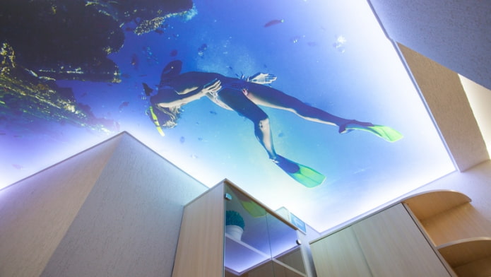 3d ceiling with the image of the sea and a diver 3d ceiling with the image of the sea and a diver