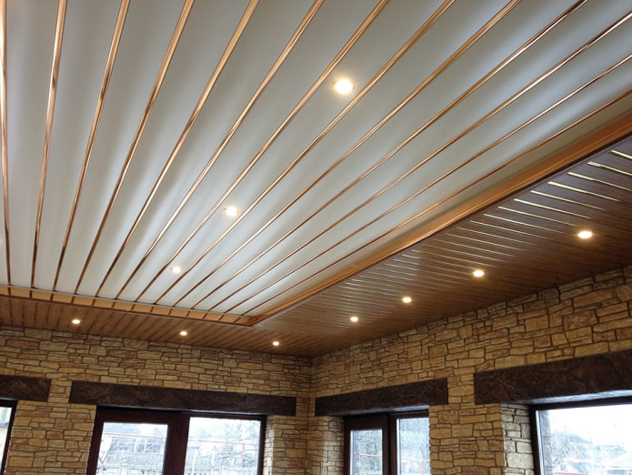 two-level rack and pinion suspended structure two-level rack and pinion suspended structure